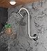 Shower Head Extension Arm with Flange,