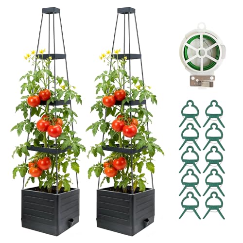 2 Pack Raised Garden Bed Planter Box with Trellis, 57' Self-Watering Tomato Planter with Trellis, Tomato Cage Plant Support for Climbing Plants Vegetable Vine Flowers Patio Outdoor Indoor