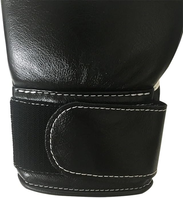 レアもの！ コールマン242A 後期型 ランタン 燃焼絶好調s09 Coleman