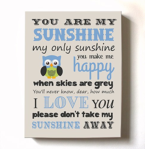 Adorable You are My Sunshine Bedtime Story Rhyme - Woodland Owl Design - Stretched Canvas Nursery Wall Art Decor - Baby Gift idea - Wooden Frame Construction - Ready to Hang 24X30