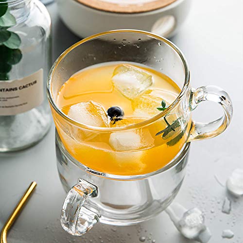 DeeCoo Large Glass Coffee Mugs, Wide Mouth Mugs for Soup, Cappuccino, Coffee, Latte, Cereal, Ice Cream, Etc, Set of 4, 17 oz, Dishwasher and Microwave Safe (Premium Tempered Glass)