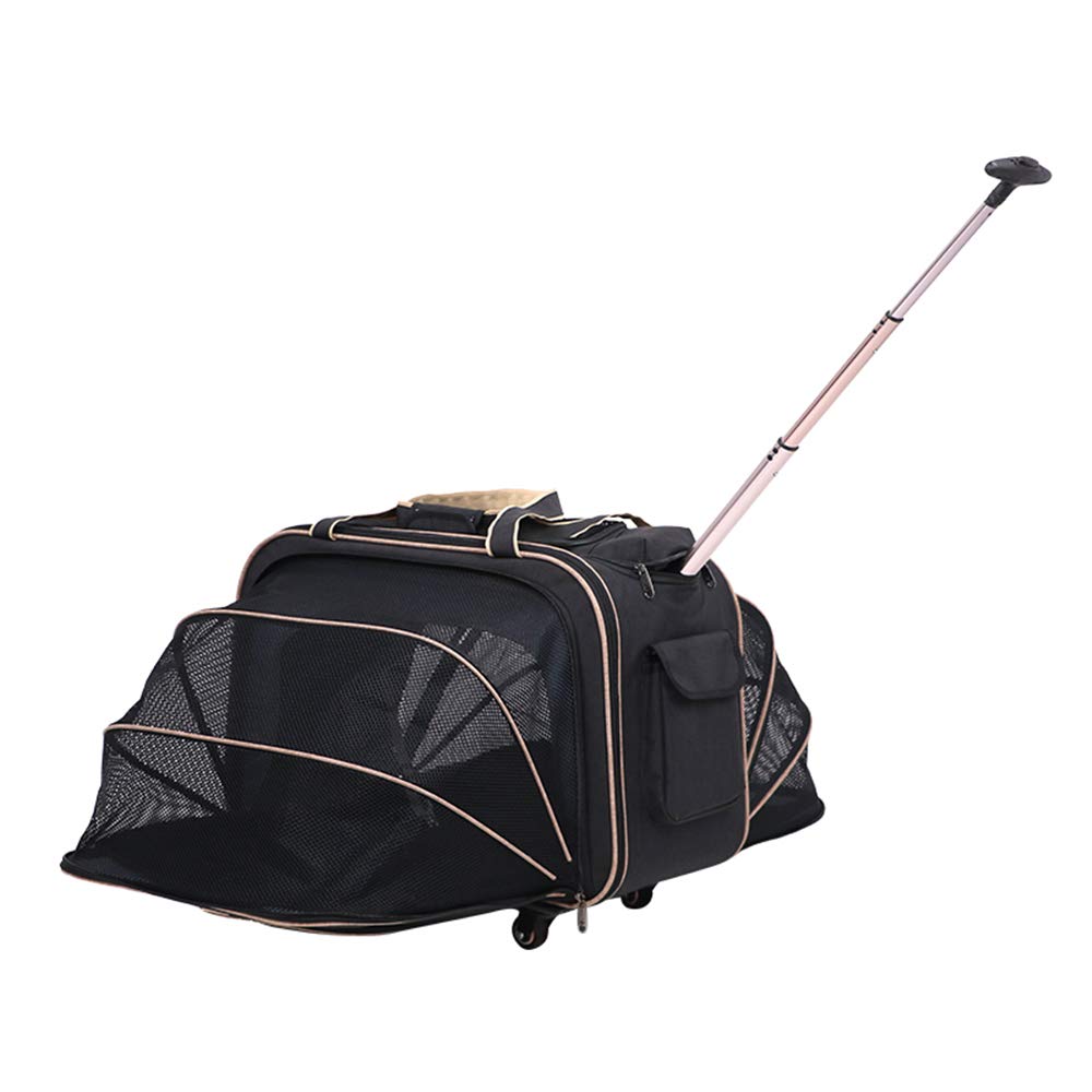 Amazon.com: GYJ - Maleta con ruedas expansible para mascotas, carrito de  viaje portátil de expansión de dos lados, diseñado para gatos, perros,  gatitos, extra espacioso : Productos para Animales