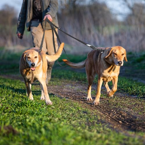 Wisedog 3m Schwarz doppelendige gummierte Hundeleine Leichtgewichtige Hands Free Leine für Hund rutschfeste Hands Free Hundeleine Fit für Spaziergänge Laufen Camping