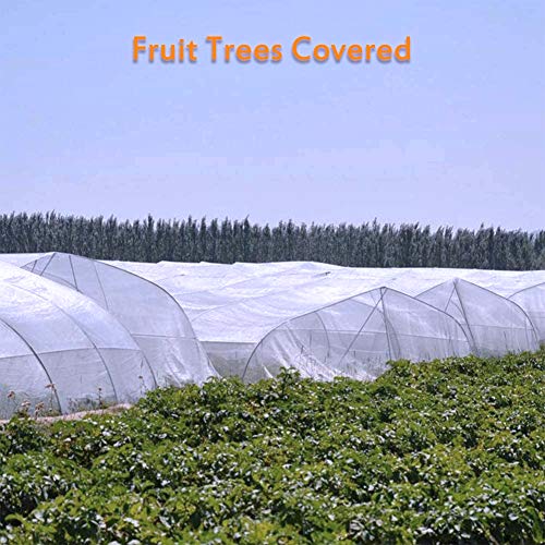 LoYinLo 6.5X9.8Ft Garden Insect Screen Bird Net Barrier Hunting Blind Garden Netting Mesh Bird Netting,Protecting Your Plant Fruits Flower - Thumbnail 5