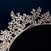 Czemo Tiara de Novia para Mujer Corona Cabello Joyería Rhinestone Diadema para...