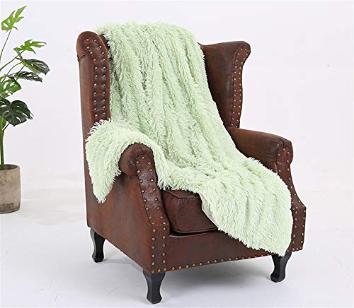 Liveinu uPbg Ђ| ѕz pC tFCNt@[ ʃ{A V[v 唻 HD tt RR 炩ȔG |~zcZbg ېOK RۖhL h_jH y  [΍ Ódh~ ʋC h_j xbhp \t@[p