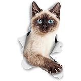Photo Gallery chslo 13cm/15cm/pvc decalcomania gatto siamese adesivo per auto impermeabile su accessori decorativi per computer portatile moto Photo Gallery chslo 13cm/15cm/pvc decalcomania gatto siamese adesivo per auto impermeabile su accessori decorativi per computer portatile moto