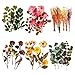 Lot de 6 autocollants pour scrapbooking Grande taille Stickers de décoration murale PET Autocollants de fleurs Autocollants végétaux pour Window Scrapbook Diary Journals DIY Arts Crafts