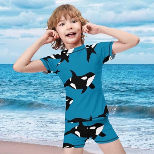 Killer Whale SwimmingChildren's Swimsuits Boys Two Piece Suit7-9Y（120cm）2
