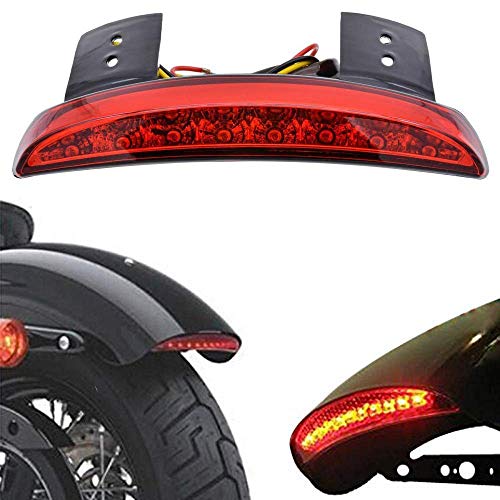 WASTUO motocicleta interrumpida guardabarros trasero borde LED freno de la matrícula Luz trasera Stop luz de circulación diurna intermitente lámpara para Sportster XL883 N 1200 N XL1200 V XL1200 X