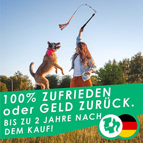 ANISKILLS® - Premium Reizangel - Set für Hunde und Katzen, für alle Größen geeignet - teleskopisch, Profiausrüstung - inkl. flexiblem Gummiseil und robustem Nylonseil - deutsches Unternehmen