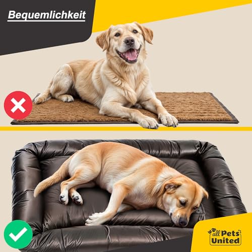 all Pets United® Hundekissen Hundebett Indoor & Outdoor; Hunde-Kissen Hunde-Körbchen; Schlafplatz für Hund & Katzen (XL - 120x84 cm)