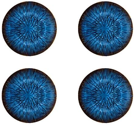 Juego de 4 platos de cerámica para carne de cocina (estilo occidental)