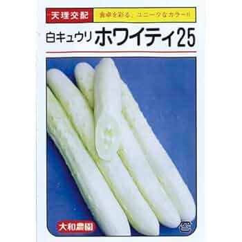 白イボきゅうり スック 350粒 1袋 白イボきゅうり スック 350粒 1袋