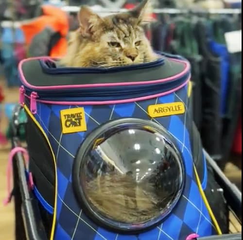 TRAVEL CAT Mochila Transportadora X Argylle Spy-Transportadora de Gatos Aprovada Por Companhias Aére
