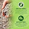 Mighty Mint Mouse Repellent Pouches – Peppermint, Castor Oil & Cinnamon Formula – Natural Indoor Deterrent for Mice and Rodents – Plant-Based, Long-Lasting Protection – 12 Count #4