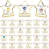 Cinnvoice 25 Pcs Boss Day Funny Employee Appreciation Awards Gifts Bulk Clear Acrylic Thank You Trophies Reward Plaque Motivational Small Team Gifts for Office Coworker Recognition(Star)