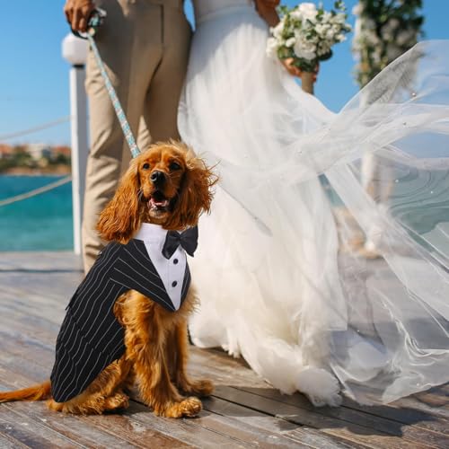 DORA BRIDAL Dog Tuxedo for Large Dogs, Dog Suit and Bowtie, Formal Dogs Wedding Outfit, Pet Tuxedo and Bandana Set Valentines Birthday Christmas Party Costumes for Labrador, Golden Retriever, Black,L — view 5
