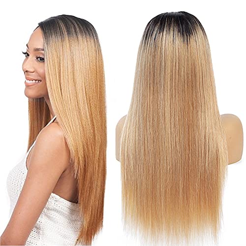 YesJYas Human Hair Wig Blond Echthaar Perücke Ombre Wigs 1b/27 T Shape Human Hair Wigs Brazilian Virgin Hair Lace Wigs 13x4x1 Lace Front Human Hair Wigs Straight Hair Wig 130% Density 16 Zoll Cover