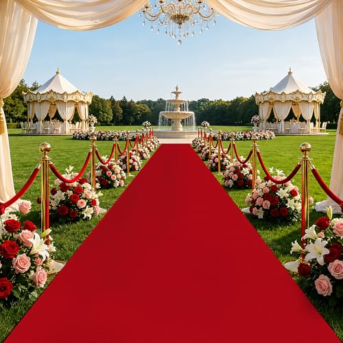 Red Carpet Runner Rug for Party and Event Non-Slip TPR Rubber Backed Aisle Runway red Rug for Step Proposal & Wedding Christmas Thanksgiving Decorations Runway Rug for Prom(3 x 10ft 450 GSM)