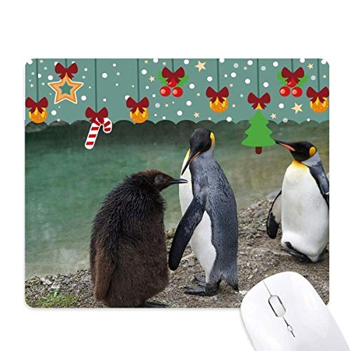 Alfombrilla de ratón de pingüino Antártico para decorar tu oficina en casa
