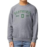 Barnesmith Dartmouth College Big Green Unisex Youth Crewneck Sweatshirt, Vintage, Sport Grey, Small