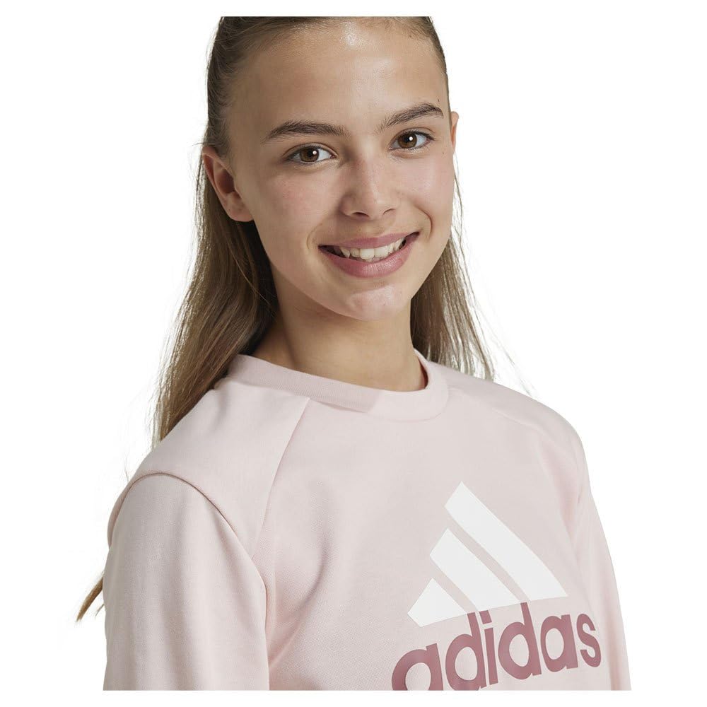 adidas Unisex Kids Essentials Big Logo French Terry Joggers Set Kids Suits