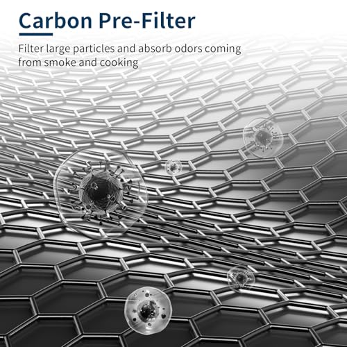 Image of 2 Pack FLT4850PT HEPA Pet Replacement Filter B, Compatible for Germ Guardian Air Puri-fier AC4825 AC4300 AC4800 AC4900 AC4850PT, AC4825E