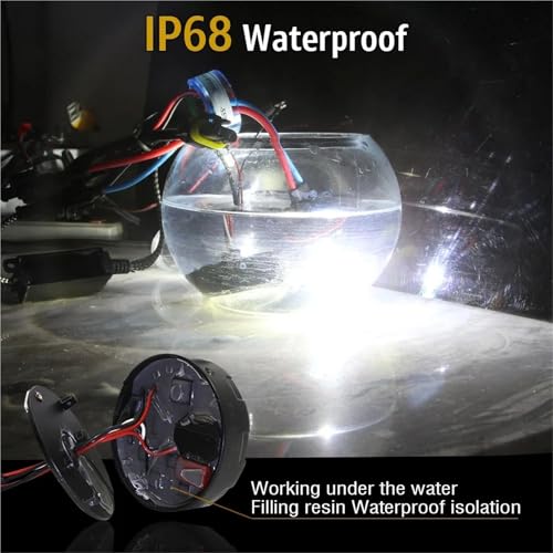 Balasto Xenón HID 12V con Encendido Rápido para Luces H11 y 9006 6