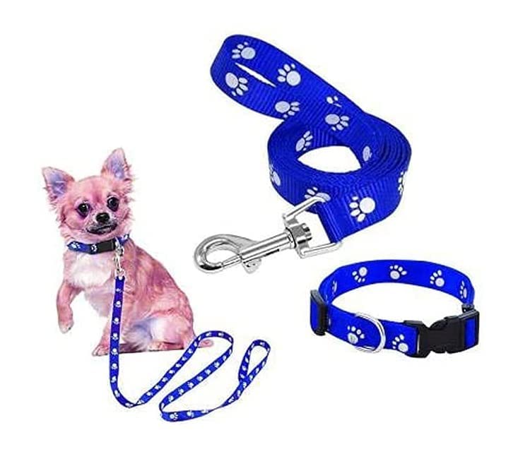 Dog Trust 15 mm Paw Print Nylon Puppy Collar & Leash Set for Small & Medium Dogs (Color May Vary) - Pack of 1 (Collar + Leash) (15mm, Blue) (B09X1N8P3S) Amazon Price History, Amazon Price Tracker