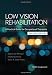 Low Vision Rehabilitation: A Practical Guide for Occupational Therapists
