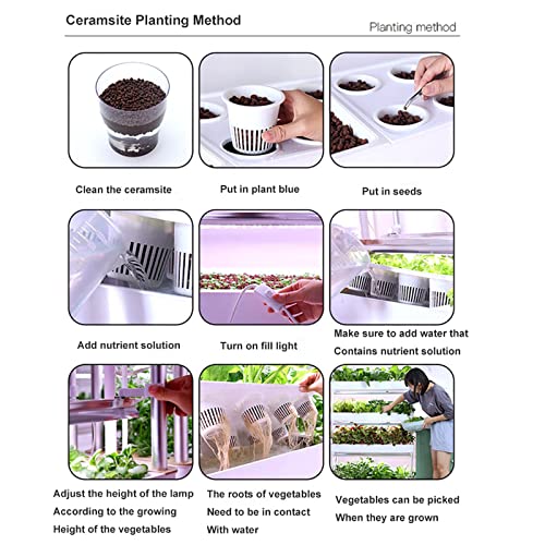 Kit de culture hydroponique à 3 niveaux avec 90 espaces de plantation pour la maison et le bureau, idéal pour la culture des légumes
