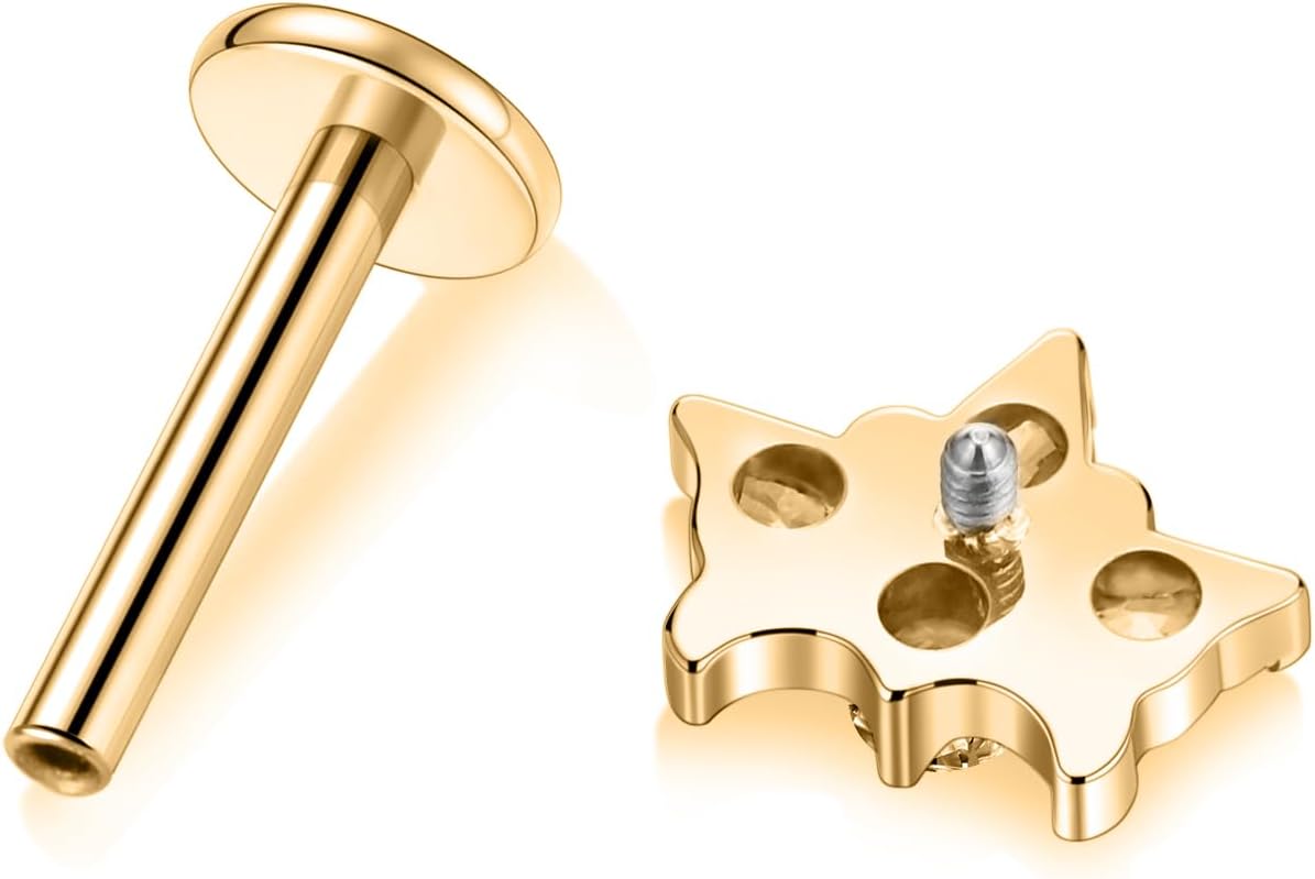 FUNLMO Labret Conch Helix Rook Tragus Cartilage Medusa Monroe Lip Nose Piercing Jewelry G23 Titanium 16G Internal Thread Flat Back Stud - Image 3