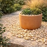 Valoak B0GQ7FKY9Q lato 4