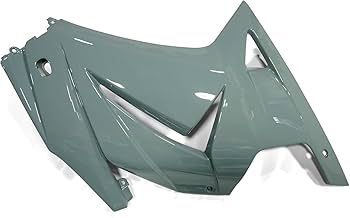 Amazon.com: ZXMT Painted Grey Fit for Kawasaki NINJA 250R