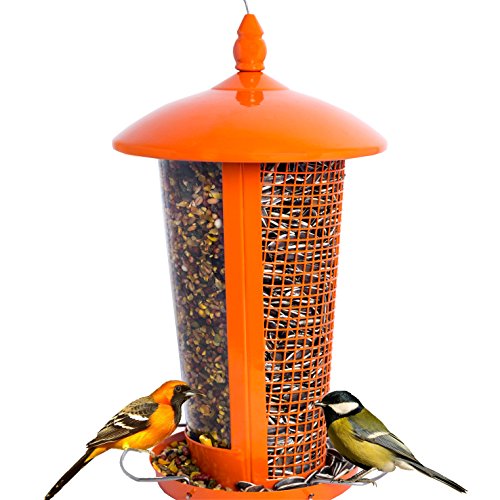 Comedouro para Aves CHILIPET