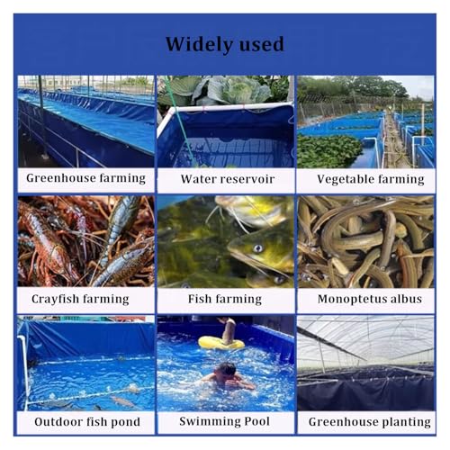 Estanque para peces portátil en lona resistente para combatir la sequía exterior 4
