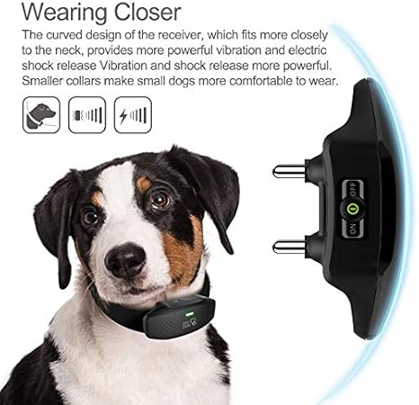 talking dog collar amazon