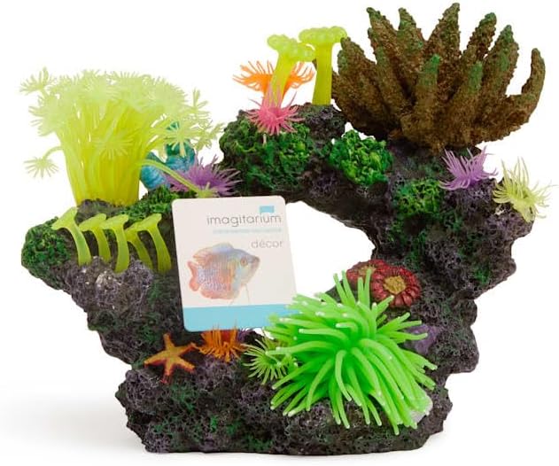 imagitarium by Petco Coral with Silicone Swim-Through Small
