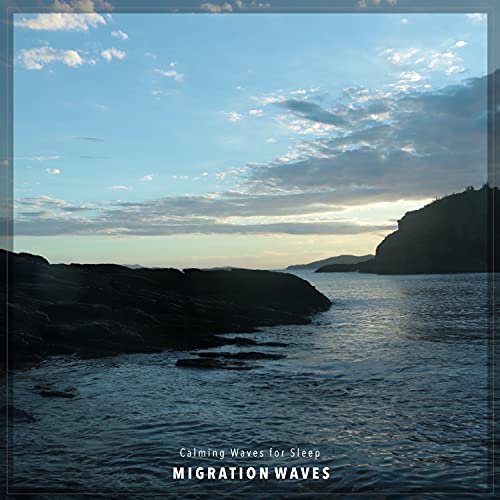 Migration Waves