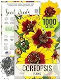 Seed Needs, Coreopsis Plains Seeds - 1,000 Heirloom Seeds for Planting Coreopsis tinctoria - Annual Wildflowers to Attract Bumblebees & Butterflies (1 Pack)