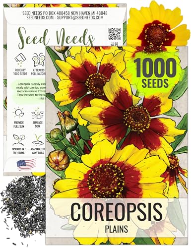 Seed Needs Coreopsis Plains Seeds to Plant Yellow Flowers Outdoors 1 Pack