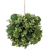 buchskugeln künstlich Ihr Nachbar wird Sie um diese schöne immergrüne Pflanze beneiden. Die Buchskugel wird als ganze Kugel geliefert - kein Zusammenstecken notwendig