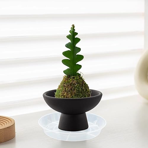 Miniatura 4 de Paquete de 6 bandejas de goteo para plantas de 7 8 pulgadas, bandejas de drenaje de plantas, macetas de plástico resistente y resistentes para