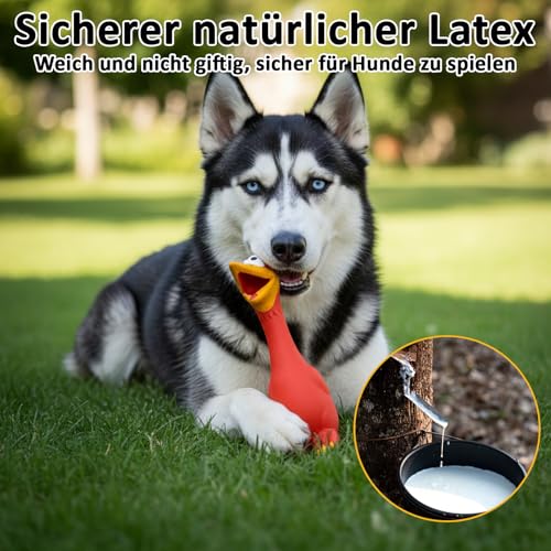JcvPot Hundespielzeug Unzerstörbar, 2 Pack Quietschspielzeug Hund, Ente Hundespielzeug, Gummihuhn, Anti Stress Ente Für Hunde, Rot Und Blau, Für Kleine Und Mittelgroße Hunde