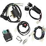 Royitay Engine Wire Harness Wiring Loom CDI Ignition Coil Spark Plug Rebuild Kit for 50cc 70cc 90cc 110cc 125cc Stator CDI Coil ATV Quad Bike Go Kart