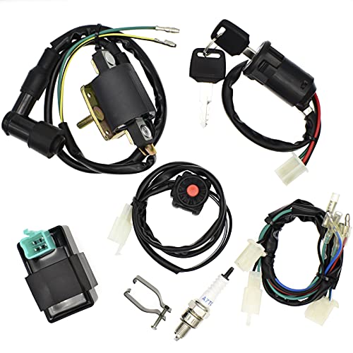 Royitay Engine Wire Harness Wiring Loom CDI Ignition Coil Spark Plug Rebuild Kit for 50cc 70cc 90cc 110cc 125cc Stator CDI Coil ATV Quad Bike Go Kart