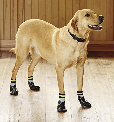 Orvis Dog Traction Socks / Dog Traction Socks, Set of 4, Medium