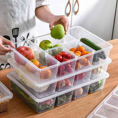 Image of Shuttle Art Fridge Organiser Storage Boxes | 5 Compartment Bin | Freeze Storage Box Container | For Serving Cut Fruits, Snacks, Vegetables, & Mukhvas