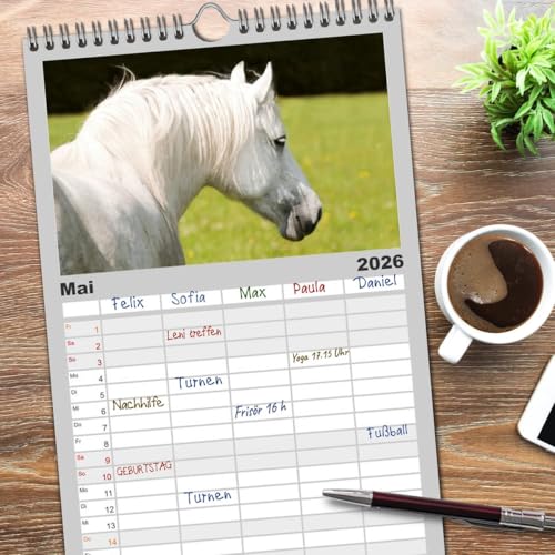 Familienplaner 2026 - Faszination und Vielfalt - Schwarzwälder Kaltblut mit 5 Spalten (Wandkalender, 21 cm x 45 cm), CALVENDO: Kraftvoll, elegant, ... Pferd durch das Jahr (CALVENDO Tiere)